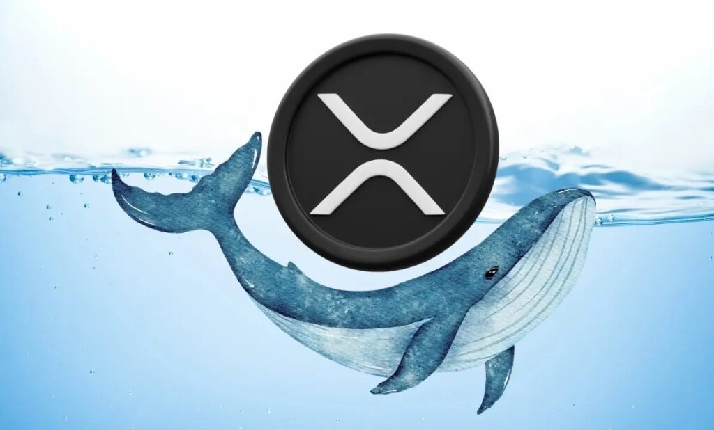 XRP Futures Hit All-Time High Amid $70 Million Whale Activity