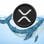 XRP Futures Hit All-Time High Amid $70 Million Whale Activity