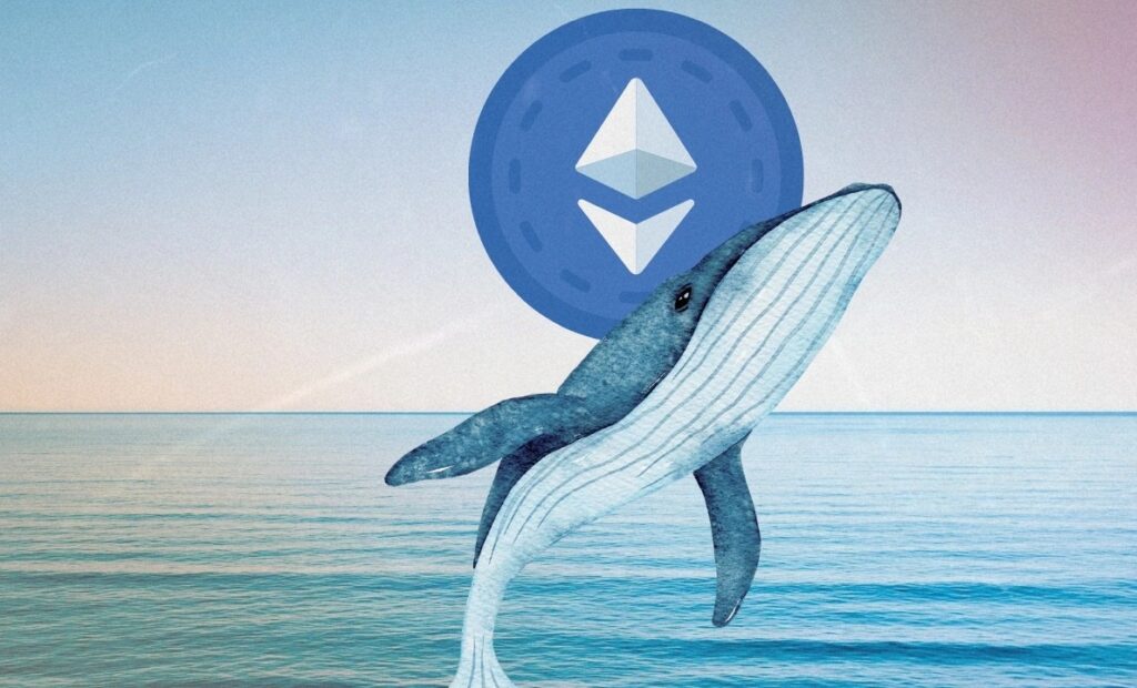 3 Altcoins Crypto Whales Bought During the First Week of August 2025